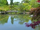 A Kyoto 12 chemin de la Philosophie Eikando Zenri Ji
